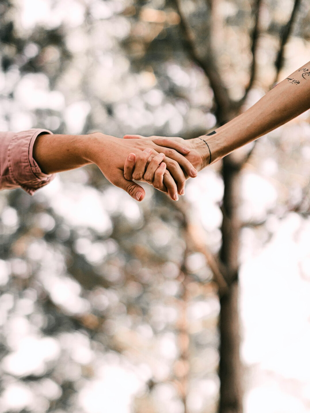 Two people shaking hands over a meeting table